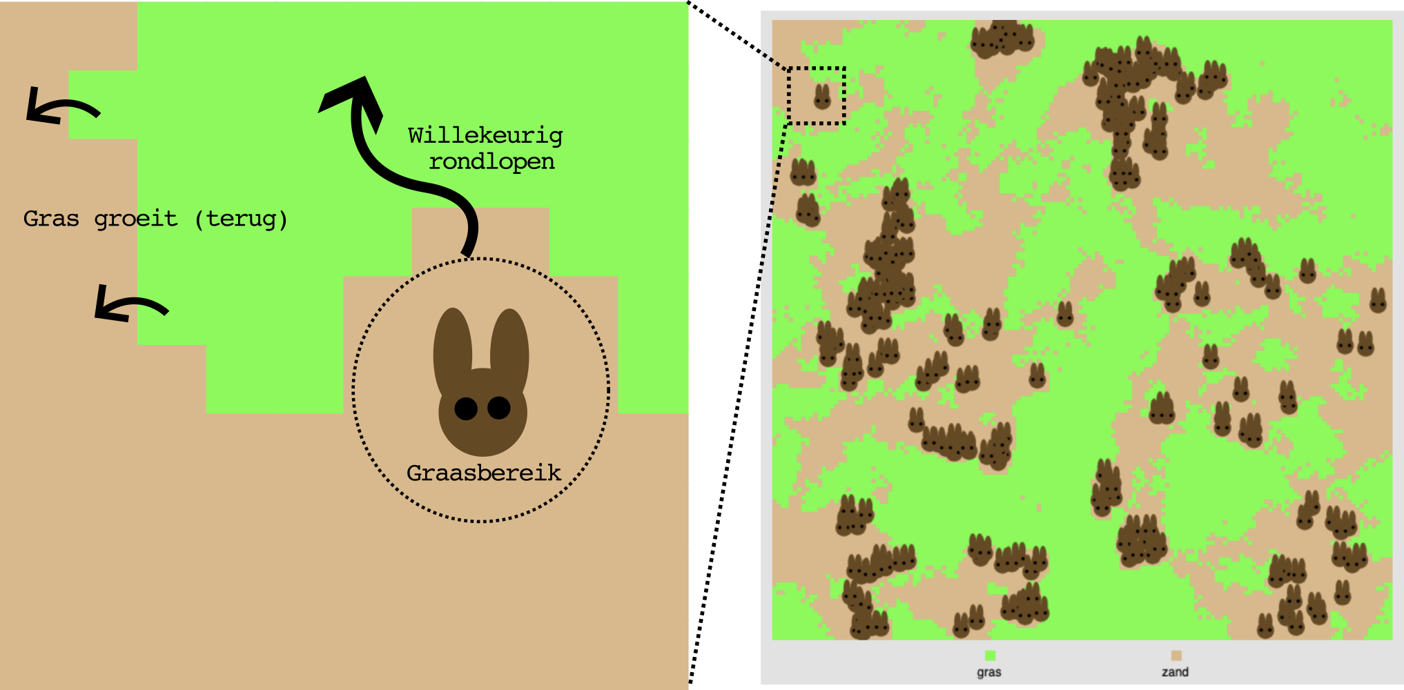Online simuatie van onijnen die gras eten: https://tbb.bio.uu.nl/bvd/simulations/konijnen/